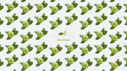 backdrop_goiaba branca